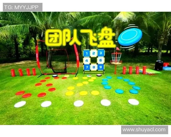 武汉飞盘队技术探讨:提升团队协作与个人技能的关键策略